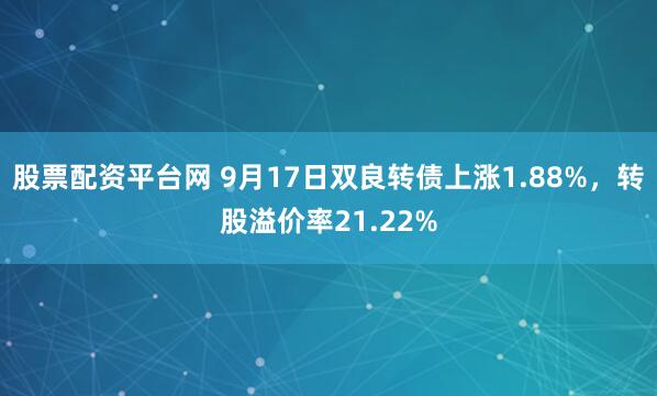 股票配资平台网 9月17日双良转债上涨1.88%，转股溢价率21.22%